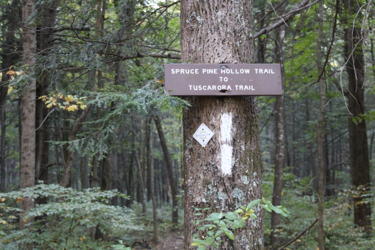 Tuscarora Trail sign at Spruce Pine Hollow